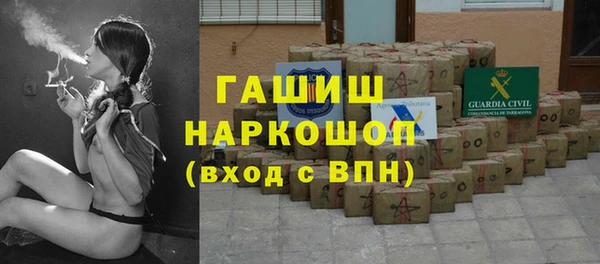 шишки Медвежьегорск