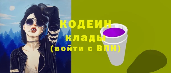 шишки Медвежьегорск
