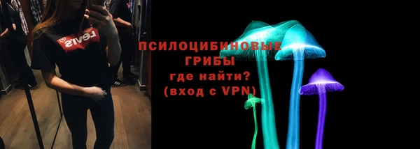 шишки Медвежьегорск
