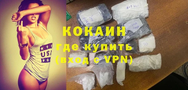 шишки Медвежьегорск