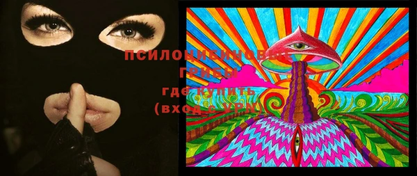 шишки Медвежьегорск
