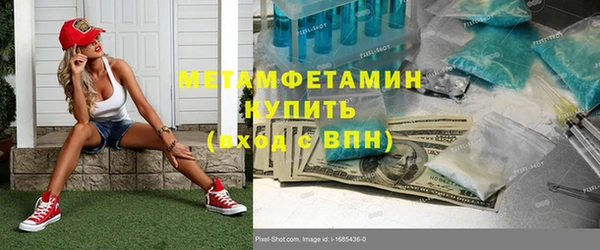 шишки Медвежьегорск
