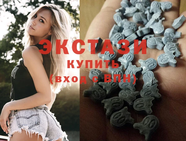 шишки Медвежьегорск