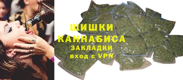 шишки Медвежьегорск