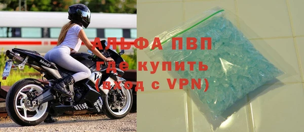 шишки Медвежьегорск