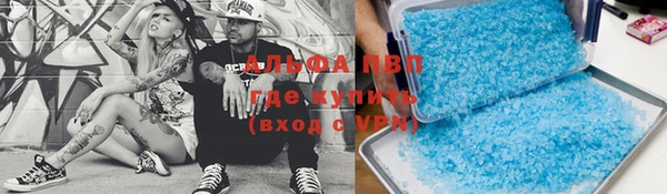 шишки Медвежьегорск