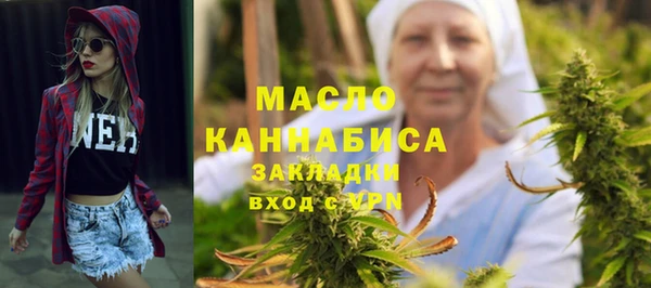 шишки Медвежьегорск