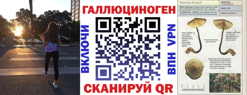 Псилоцибиновые грибы мицелий  блэк спрут ссылка  Луза  сколько стоит 